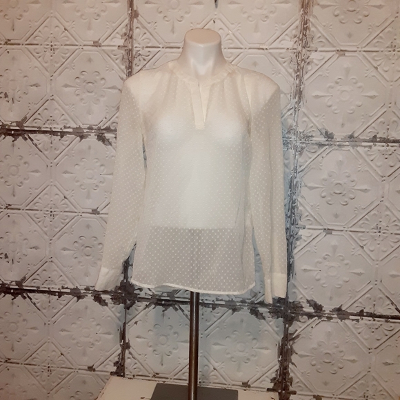 Express Tops - Express Dotted Swiss Polyester Top